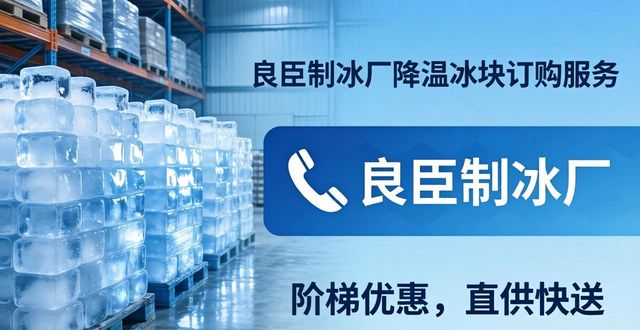 上海降温冰块订购 良臣制冰厂直供快送